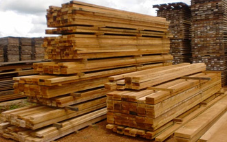 madeiras + madeireira em sp + MADEIREIRA TM